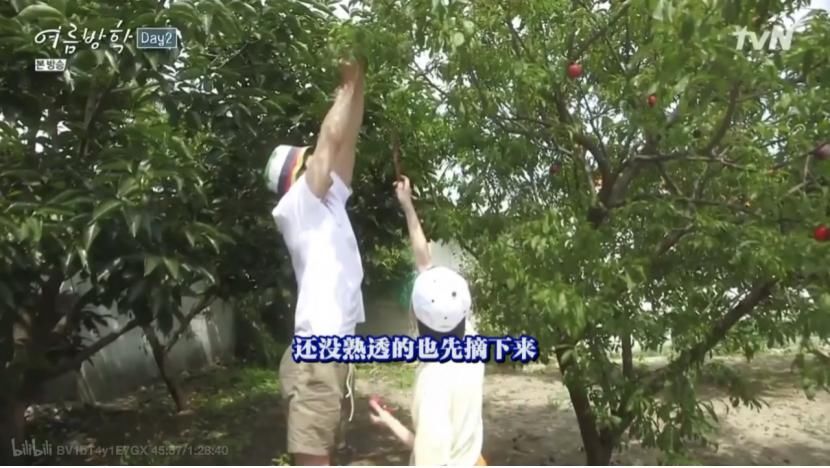  节目|韩综治愈系再出新作，姐弟一起过《暑假》