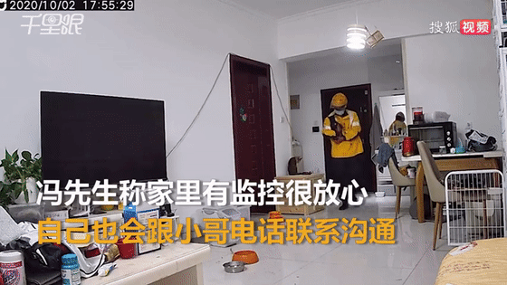 假期|神操作！男子假期出游，雇“跑腿小哥”到家里遛狗…