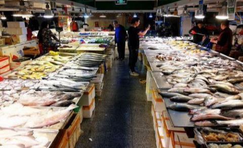 出口|美国鲤鱼出口中国却无人问津,得知价格后想赚钱想疯了吧