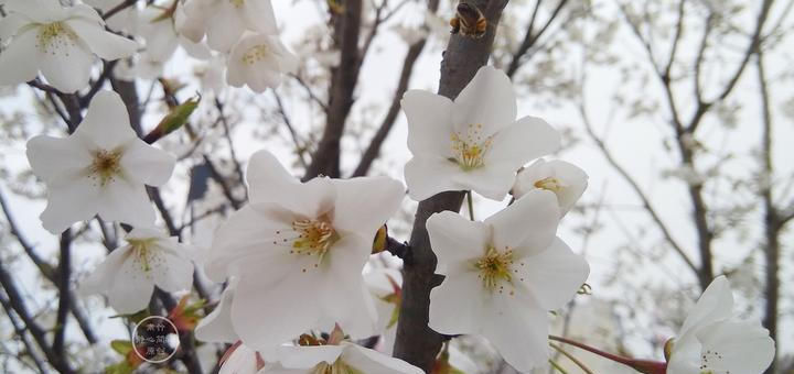  时间|我没时间生气，因为我很忙