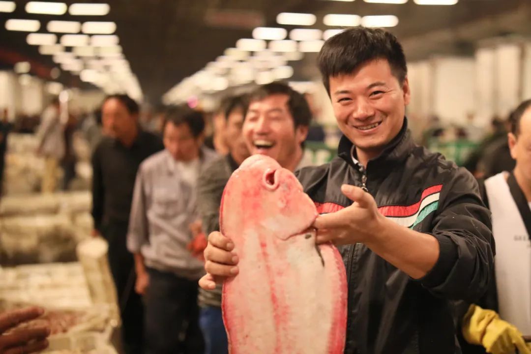 新鲜|“东海第一网”来了!透骨新鲜的招牌菜悉数回归