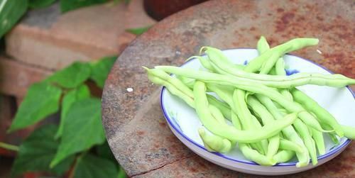  好吃|土豆炖豆角，好吃不长胖，下酒又下饭