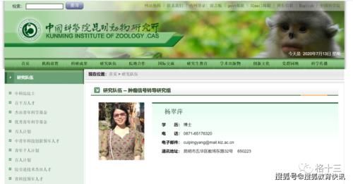  惹不起|惹不起的小学生，拼不起的爹