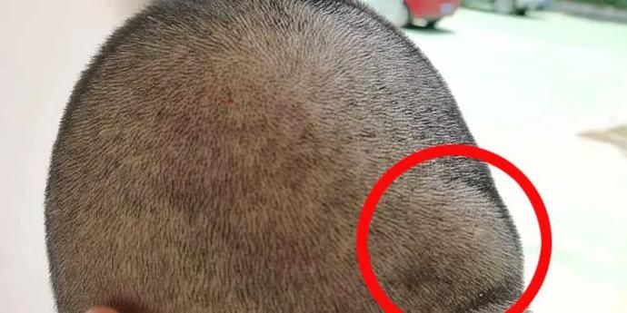 妨害|“法盲兄弟”暴力抗法，涉嫌妨害公务被刑拘