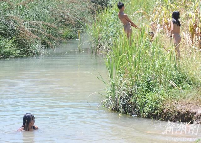 下河|孩子,请不要私自下河游泳