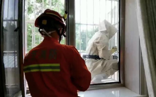  现场|请问消防清马蜂窝收费吗？消防员：不收费！抓蝙蝠也不收费