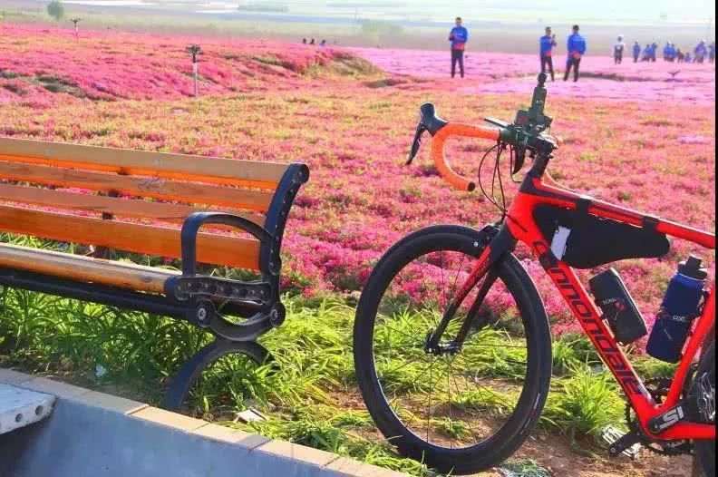  说走就走|旅行中的这些“奢侈品”，你具备了几件？