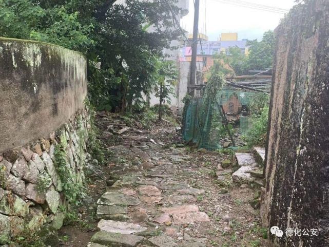 嫌疑人|德化警方抓获一犯罪嫌疑人!女子刷单被骗35万余元!