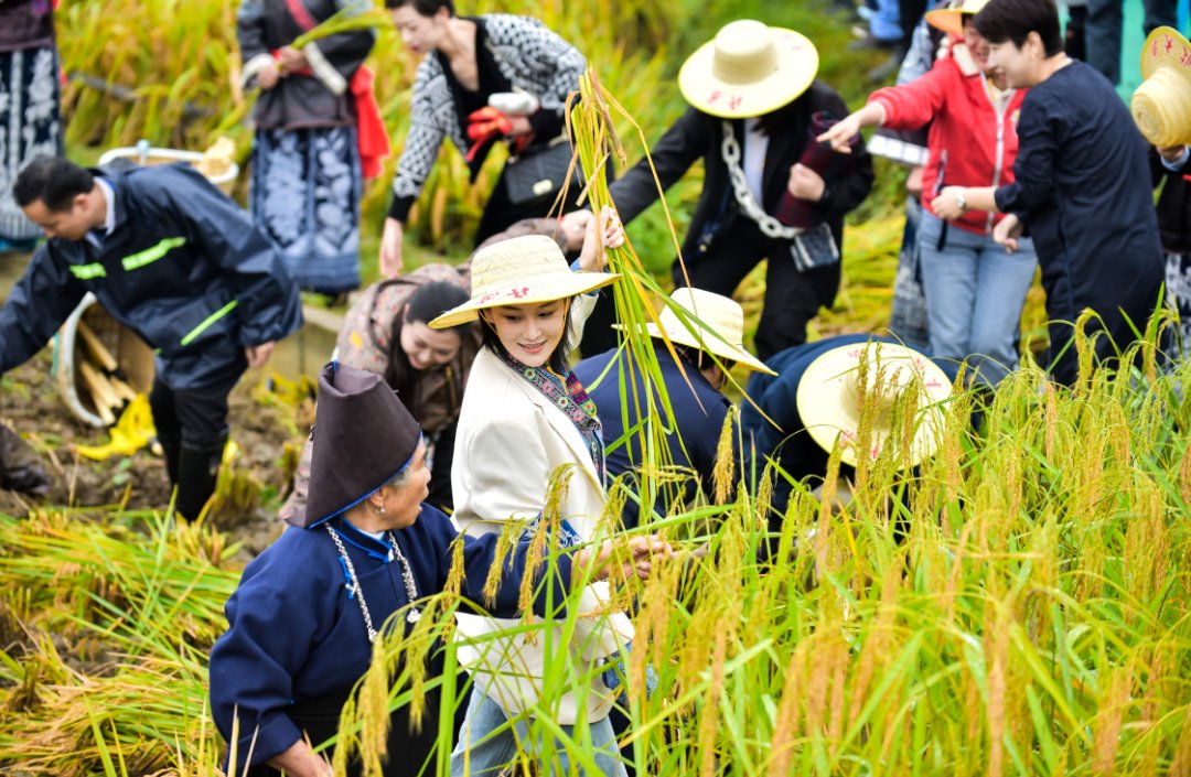 声音|假如丰收有声音，一定是这样婶儿的
