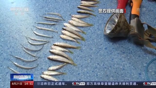 非法|武汉警方破获长江流域非法捕捞案
