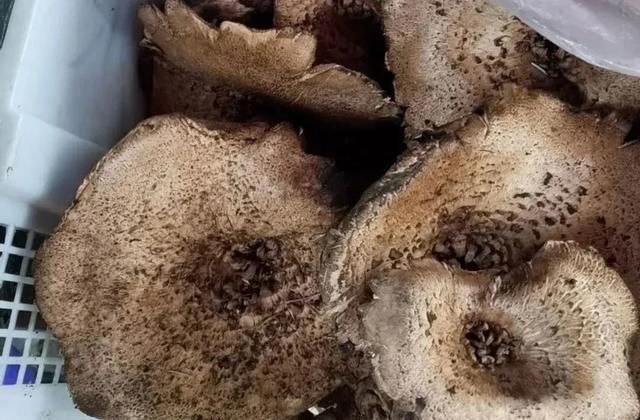  随手|夏天过半，这口得赶紧啦！随手一炒就贼香