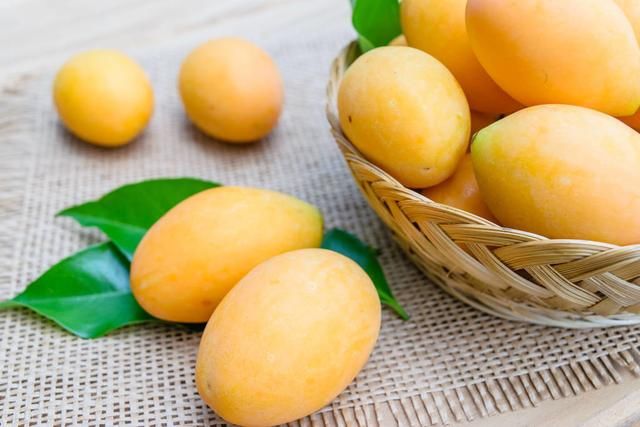  冬天|冬天出生的孩子比夏天出生的孩子智商高？看看权威机构的说法