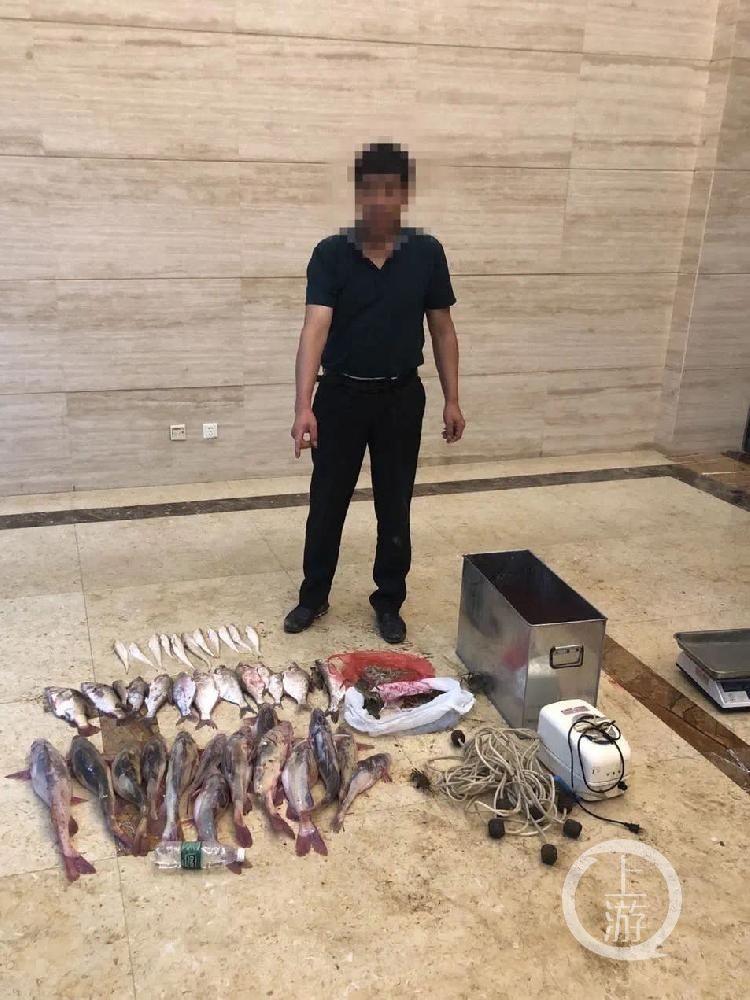  审理|江苏发布长江非法捕捞刑案审理指南：电鱼毒鱼炸鱼不判缓刑，每增加50公斤加刑1-3个月