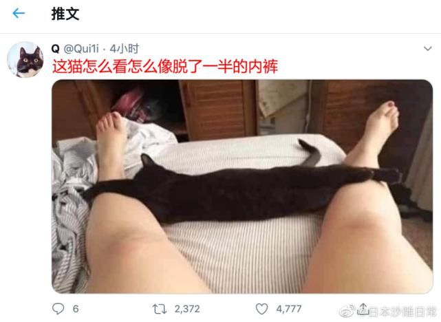  相机|老师，求求你别再用全景相机拍照了…笑趴了哈哈哈哈哈哈哈