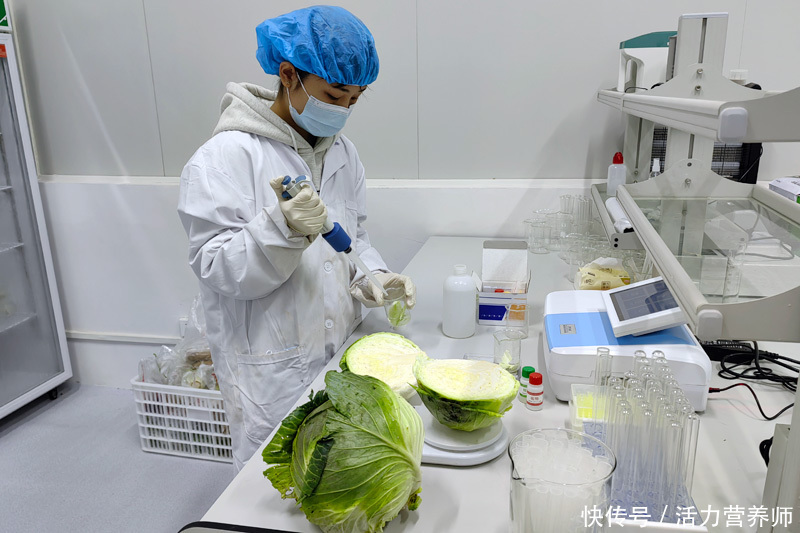 农残为零的五种蔬菜(极易藏“农残”的3种蔬菜，洗菜时一定要注意，很多人没想到)