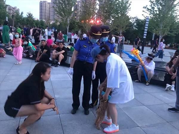 饲养|@白城养犬人士,文明养犬应该这样做