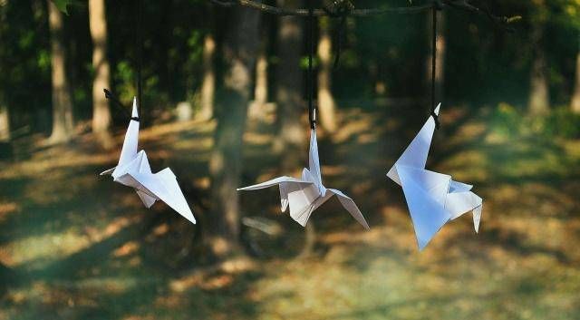 久别重逢|我们相遇,匆匆离去