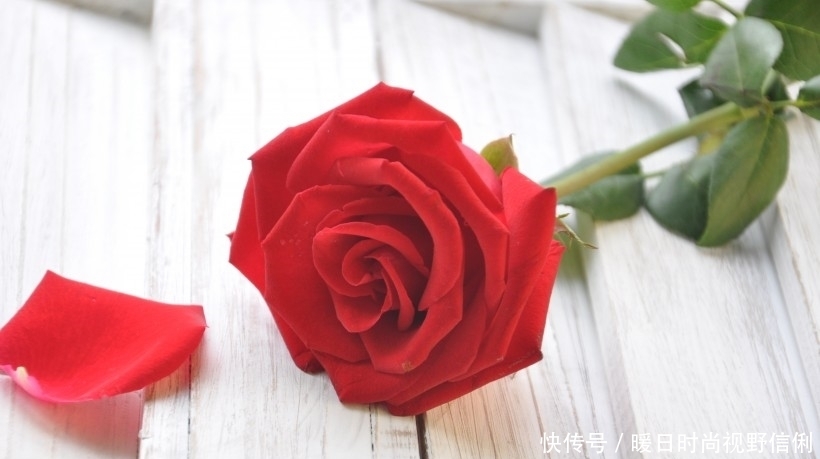  生肖龙|属龙人：近期将发生“五雷轰顶”的大事件，是“喜上喜”？