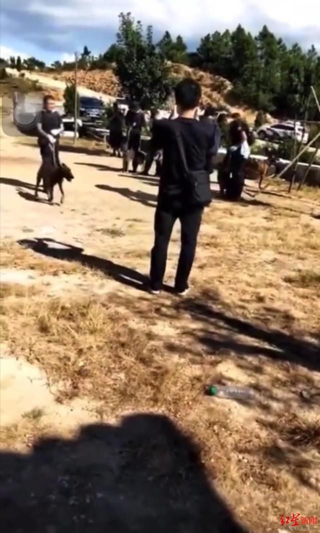  设卡|江西“2死1伤案”疑凶逃亡中再犯命案 担心疑凶进村，周边村子设卡