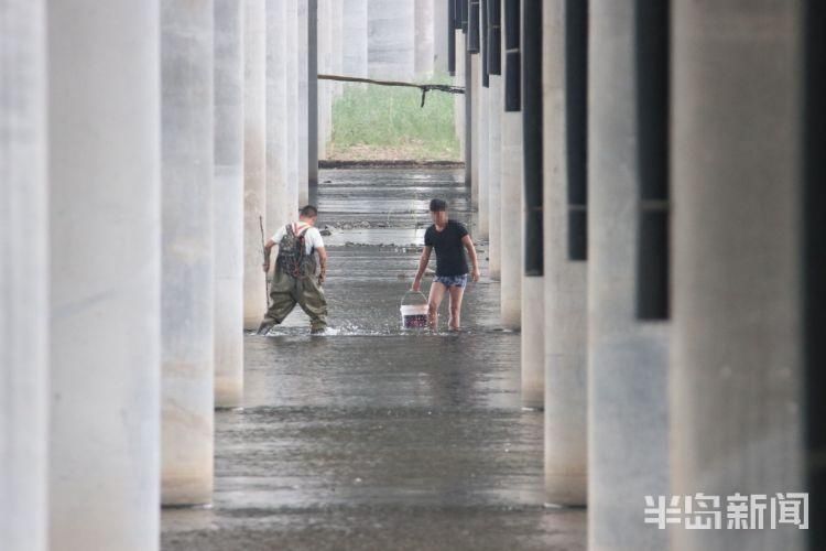 李村河|李村河胜利桥段:4名男子非法电鱼 严重破坏生态平衡