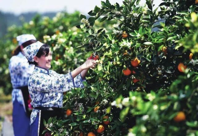  顺庆区|国庆8天哪里耍？小编带你玩转大美南充！