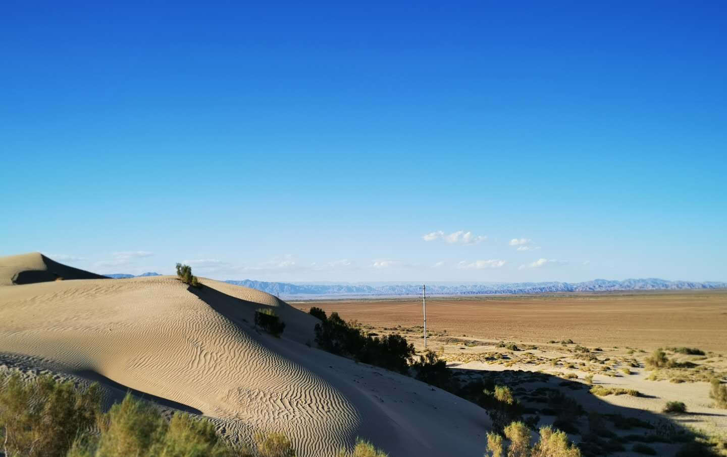 女性更|男主外女主内,应该被推崇吗