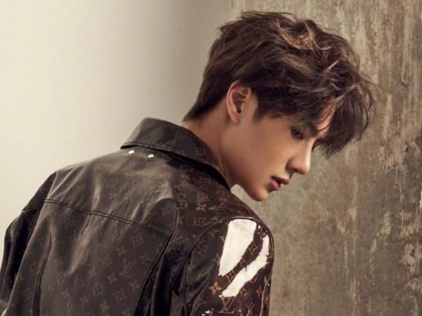 职业|王一博综艺资源爆棚,搭档郎朗合作新综艺,化身职业领域华人