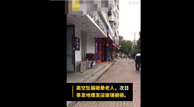  次日|好心提供高空坠猫砸人视频, 次日却被报复, 网友: 凶手真愚蠢!