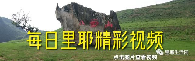  犯罪嫌疑人张某某|湘西公安抓获涉嫌制造假烟嫌疑人