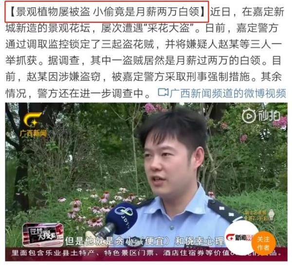  白领|4天多次偷窃，吃穿用的都有！居然还是研究生和白领，都被判刑了