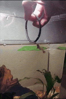 生活|搞笑GIF:在网吧多年,第一次看到这么懂得生活的少年