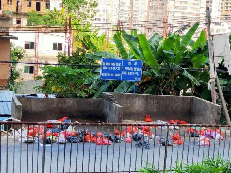 路段|紫金网友因教场路段一事议论纷纷....