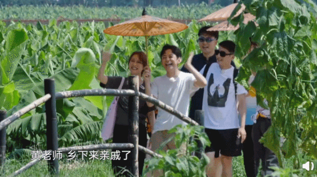  丹丹|四季过去了，它还是国内最治愈的慢综艺