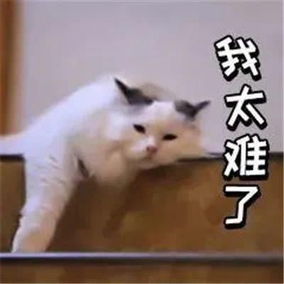  立交|只剩8分钟！发生在景渎立交下的这一幕！