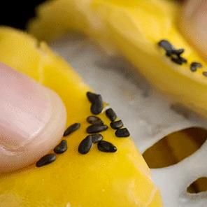  神仙|这是什么神仙蛋黄酥？Q弹拉丝，软糯香甜，小心对它念念不忘哦