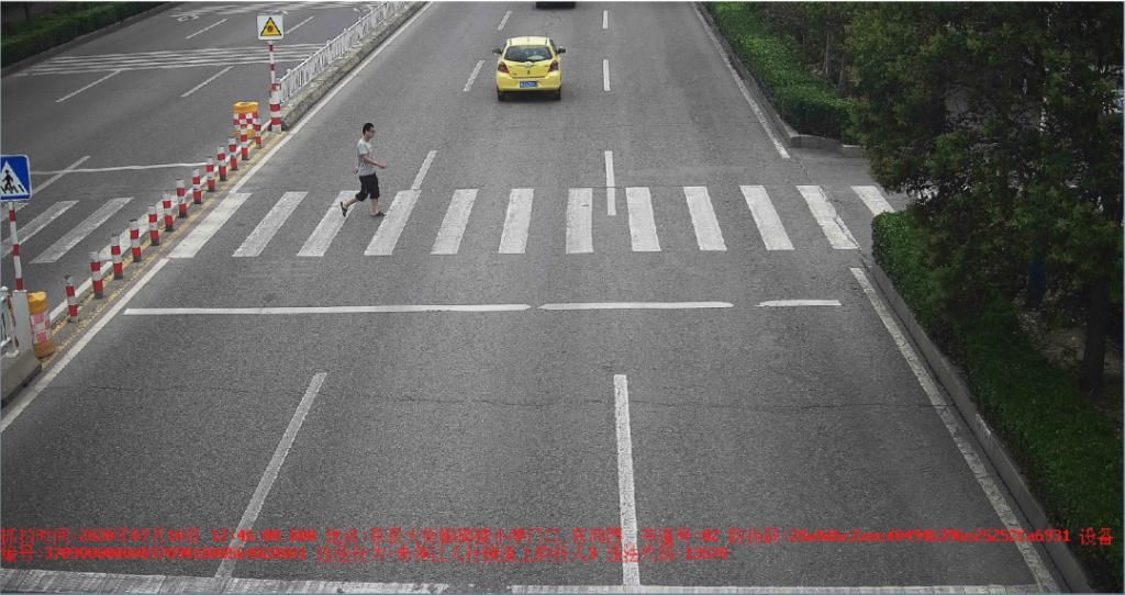 曝光|泰安这些车和人被警方曝光！原因是……
