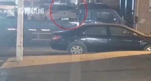  擒贼|小偷沿街拉车门盗窃 热心小伙仅用一招机智擒贼