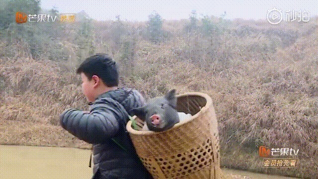  计后|对姐姐们挑三拣四的杜华，对亲儿子更狠，先上变形计后送少林寺