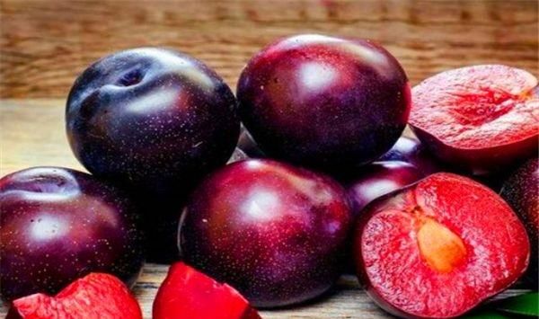  食物|会吃的性最健康，要多吃四种食物，美容养颜，改善气色，显年轻