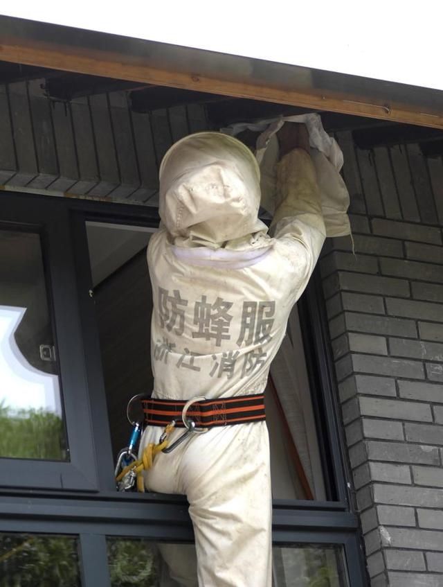  防蜂服|记者体验捅马蜂窝 才几分钟就成了“落汤鸡”