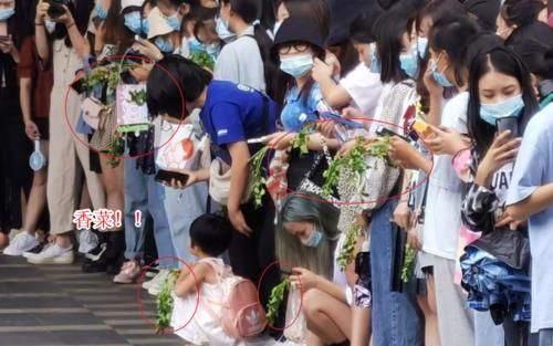  东西|王一博失去“香菜”后，看清粉丝手上拿的东西时，我笑了