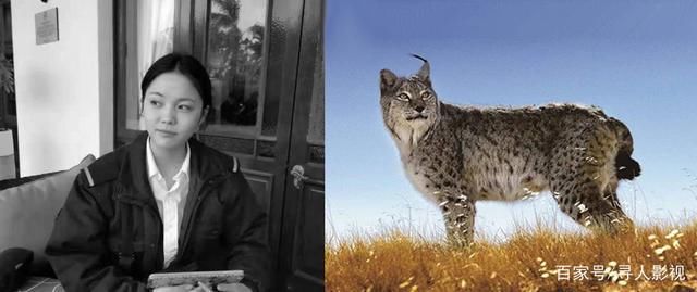  可可西里|可可西里遇难、遭男友杀害埋尸,给广大女生们敲响了警钟