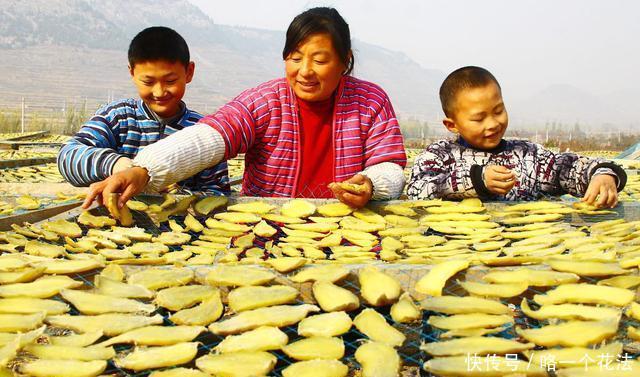 红薯的时|原来红薯的储存方法这么简单,放半年不变质不长芽,并且越放越甜
