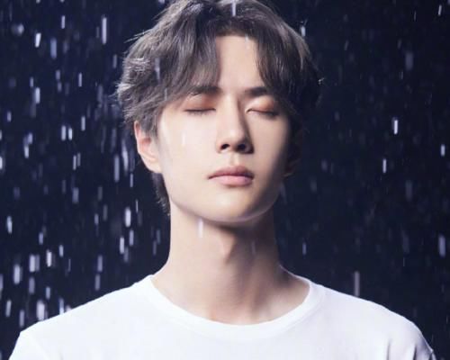  排行榜|综艺主创社会影响力排行榜，赵丽颖第3，杨幂仅排第4，第1当之无愧