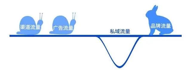  核心价值|私域流量 3 大原理：捍卫流量主权，掌握企业命运