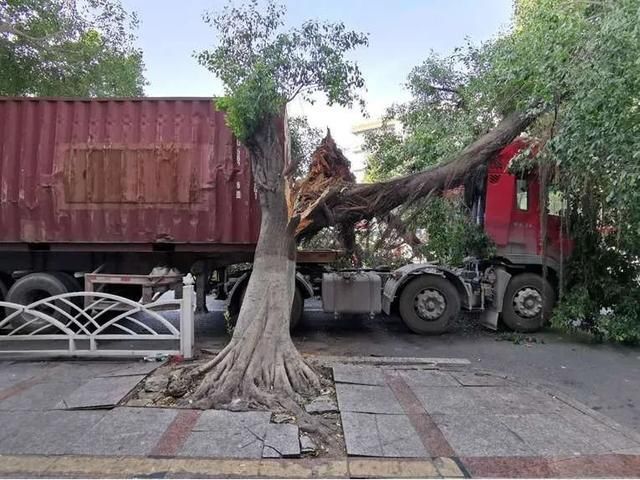  美林|美林大桥附近，一天内两辆挂车“惹祸”