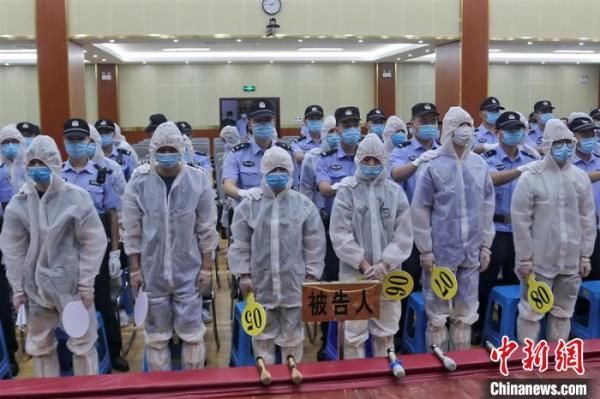 该组织|广西河池东兰韦道贵等42人重大涉黑案一审开庭