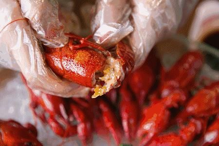  菠萝|《2020最新小龙虾地图》.zip