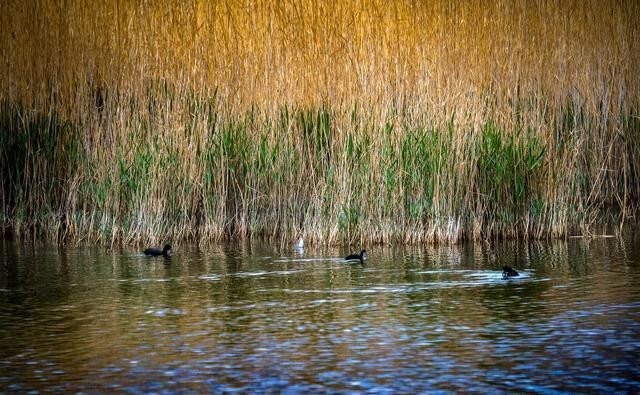  湖水|大柴旦：五彩谷天地雄奇之峻，翡翠湖水云婉约之华，柴达木探秘4