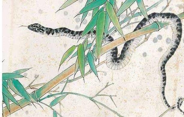  超高|这三个生肖，打小就冰雪聪明，长大后智商超高！